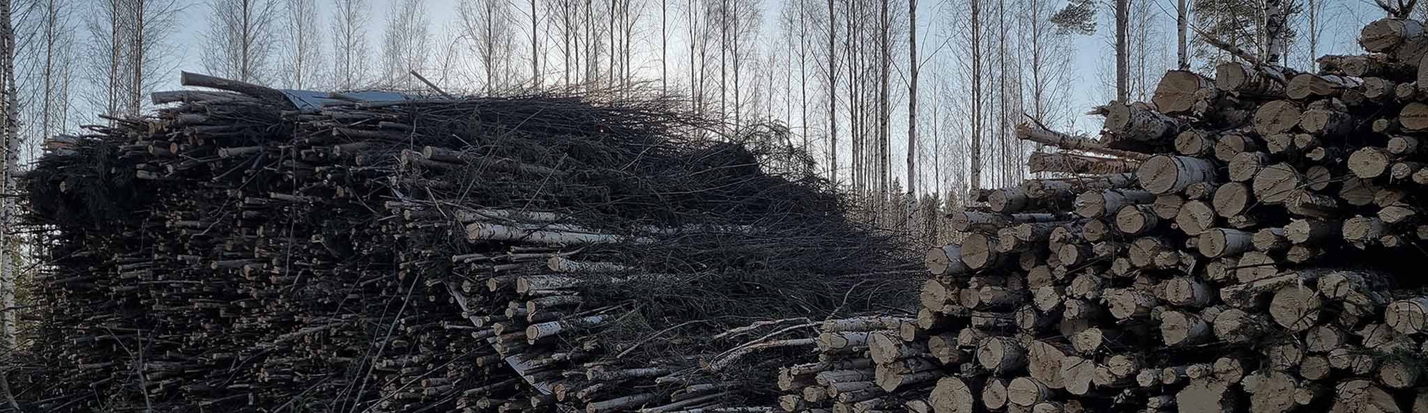 Farmikko energiakouralla katkaistu puukasa